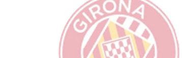 Míchel Sánchez es oficialmente nuevo entrenador del Ajax