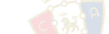 Osasuna completa su segunda sesión con la única baja de Budimir
