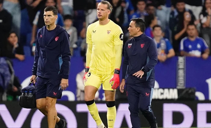 Parte médico oficial de Nyland, Badé y Nianzou