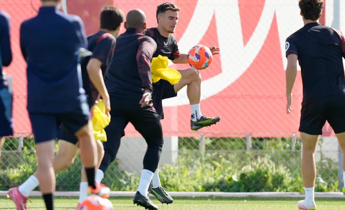 Pedrosa y Söw se incorporan al grupo tras superar sus problemas físicos