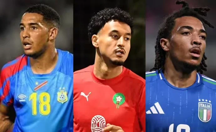 Tres pericos en acción con sus selecciones