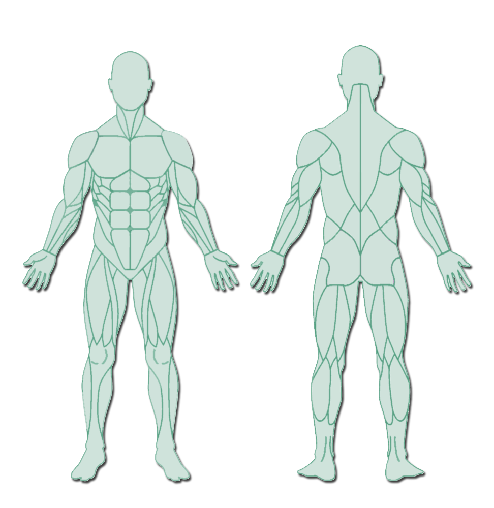 Mapa del cuerpo humano