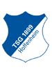 Escudo/Bandera Hoffenheim